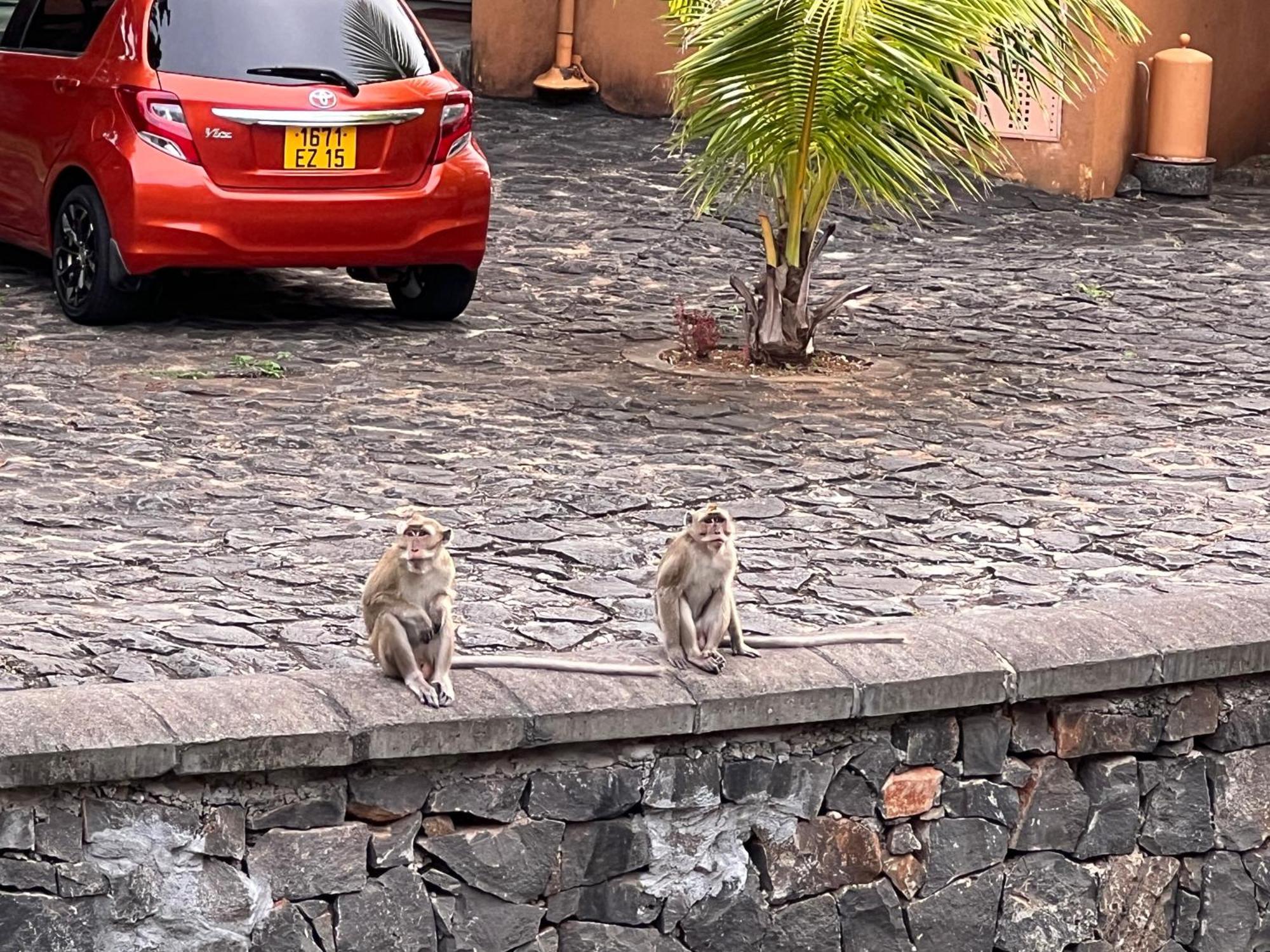 Villa In Port Chambly ,Mauritius Terre Rouge  Exteriör bild